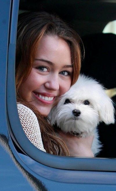 miley-cyrus-and-pooch-photos.jpg miley-cyrus-and-pooch-photos.jpg